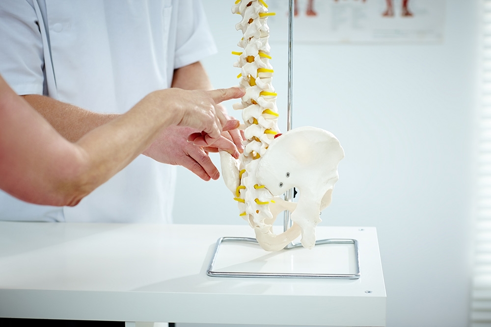Decoding Spinal Fusion Surgery: A Comprehensive Guide to Stability and Relief